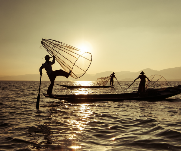 Burmese Fisherman Catching Fish In Traditional P3qc8el