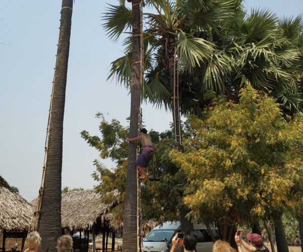 Palm Tree2