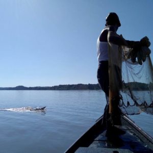 Irrawaddy Dolphin tour with Mingun visit by private boat