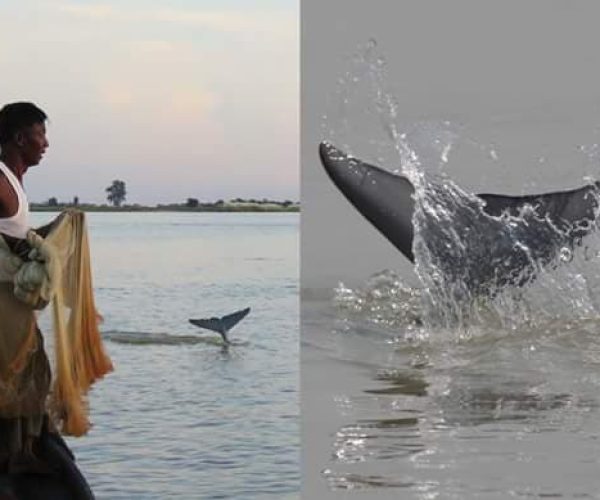 73215876 419665825399087 5351645468336062464 N