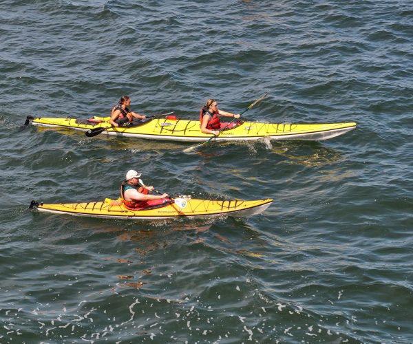 Kayaking 2071920 1920