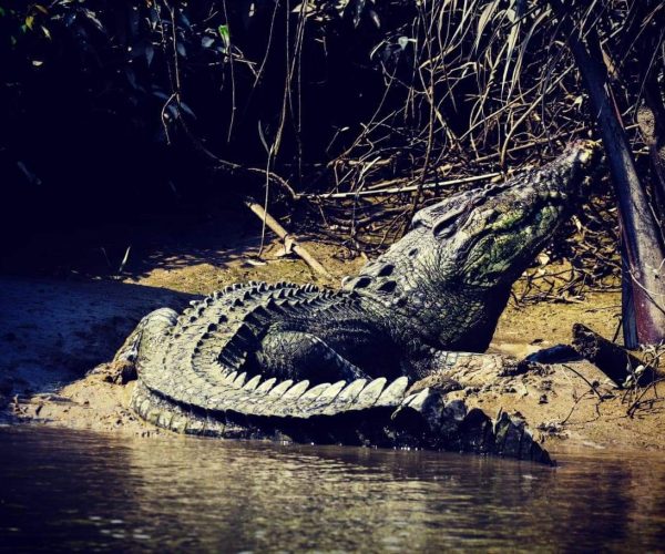 Viber Image 2020 03 18 14 31 51