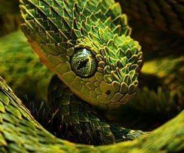 Viber Image 2020 03 18 14 31 51a