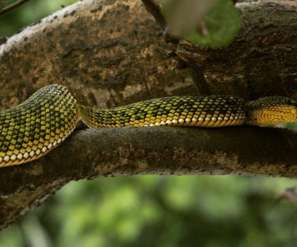 Viber Image 2020 03 18 14 31 53