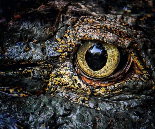 Viber Image 2020 03 18 14 32 07